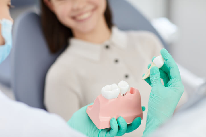 tooth extraction at beach grove dental tsawwassen - doctor holding a model of a partial jaw with teeth